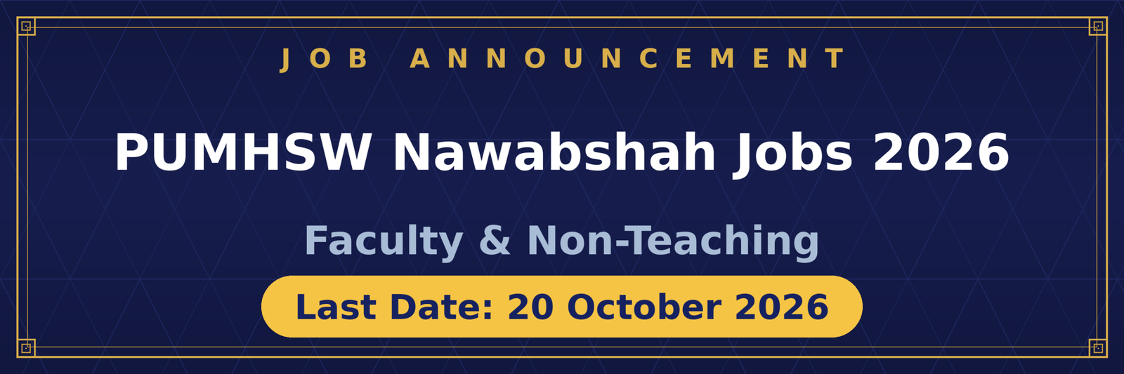 PUMHSW Nawabshah Jobs 2026 Advertisement